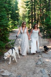Adventure Amore Announces Mini-Elopement Photography Package for Pride Month in Colorado