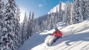Ski Insurance Market