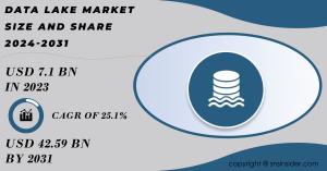 Data Lake Market Report