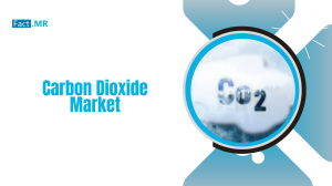 Carbon Dioxide industry