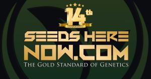 Seeds Here Now's 14th Anniversary