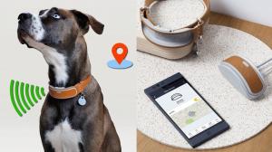 Smart Dog Collar
