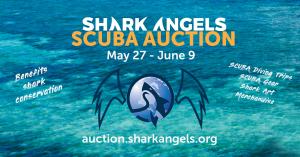 Shark Angels Online SCUBA Auction May 27-June 9 for shark conservation