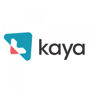 Kaya: Transforming Businesses with Innovative Strategy Consulting Solutions