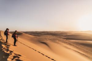 The sand dunes of the Namibian coast