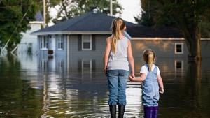 Flood Insurance Market