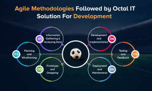 Agile Methodologies Followed by Octal