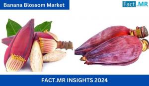 Banana Blossom Market