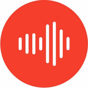 Full Service Digital Marketing Agency ROI Amplified is a World class Digital Marketing agency