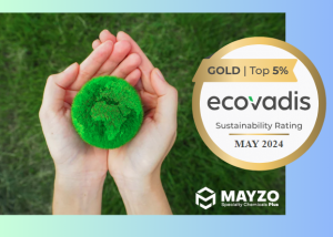 Mayzo EcoVadis Gold Rating