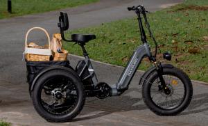 Puckipuppy Husky Adult Etrike