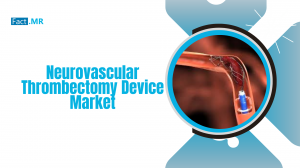 Neurovascular Thrombectomy Device Market