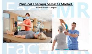 Physical Therapy Services Market