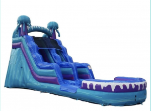 Water Slide Rentals - K.C. Treasures Bounce House Rentals