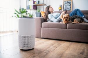 Smart Air Purifiers Market