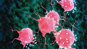 Solid Tumor Drug Market
