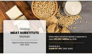 Meat Substitute Market