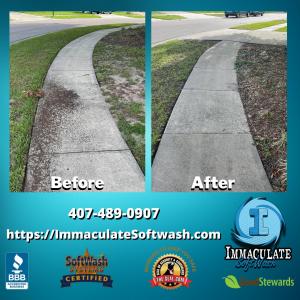 Sidewalk Cleaning Company - Soft Washing Services