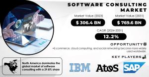 Software Consulting Market Report