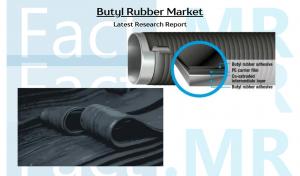 Butyl Rubber Market