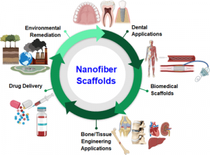 Biomaterials Industry