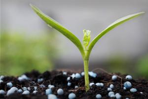 Nitrogenous fertilizers