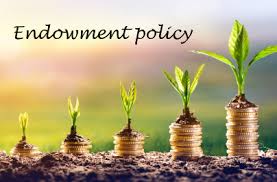 Endowment Insurance Market