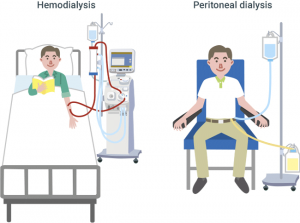 hemodialysis and peritoneal dialysis industry