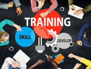 Training and Development Service Market