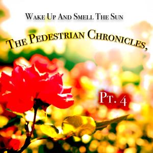 Wake Up And Smell The Sun Announces Release of Part 4 of the Pedestrian Chronicles and Public Sale of Music Catalogue