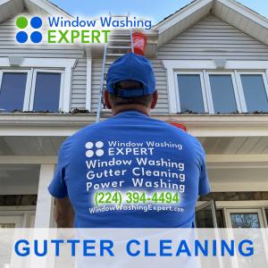 gutter cleaning by the pros