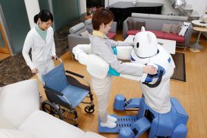 Healthcare Companion Robots market