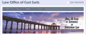 Website of Curt Surls, Employment Law Specialist