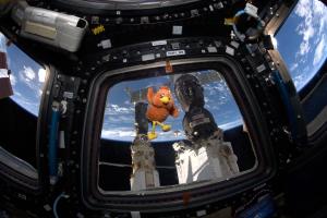 Boopy, the orange bird mascot at The Little Museum of the World, is floating in the Cupula part of the International Space Station with the station's electronics around him and a panorama of the Earth at the background