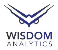 Graphic sketch with Wisdom Analytics written in letters