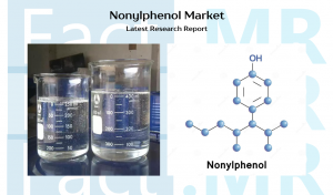 Nonylphenol Market