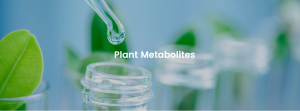 Plant Metabolites