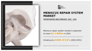 Meniscus Repair System Market 2024