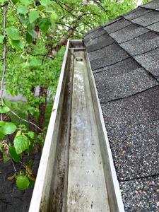 clean gutters