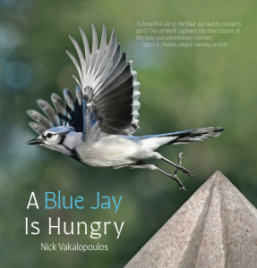 Readers Can Now Explore the World of Avian Majesty