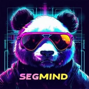 Cyberpunk Segmind Panda