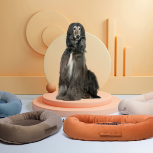 Large, regal looking dark brown dog with long hair sits on a short podium in front of four different dog beds in blue/gray, tan/brown, rust and beige.