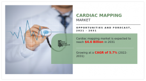 .6+ Billion Cardiac Mapping Market Set to Surpass by 2031 with a Steady CAGR of 5.7%