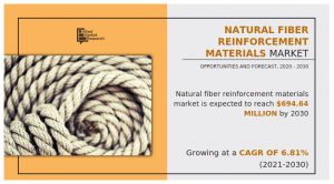 Natural Fiber Reinforcement Materials Market 