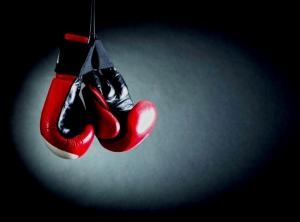 Boxing Gloves Market