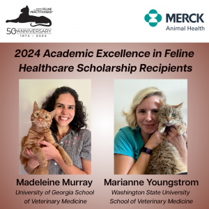 AAFP Merck 2024 Scholarship Recipients