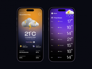 Weather App Market