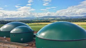 Biogas Market