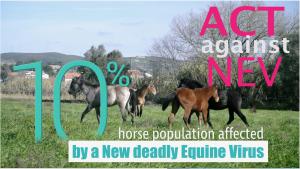  NEV is a horse equivalent of HIV and is becoming an increasingly serious threat to at least 10 percent of the global horse population.To counter this emerging threat, Equigerminal Team has launched a crowdfunding campaign to raise funds.