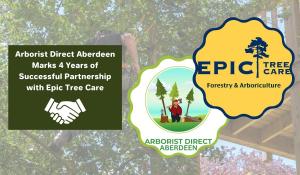 Arborist Direct Aberdeen Marks 4 Years of Successful Partnership with Epic Tree Care